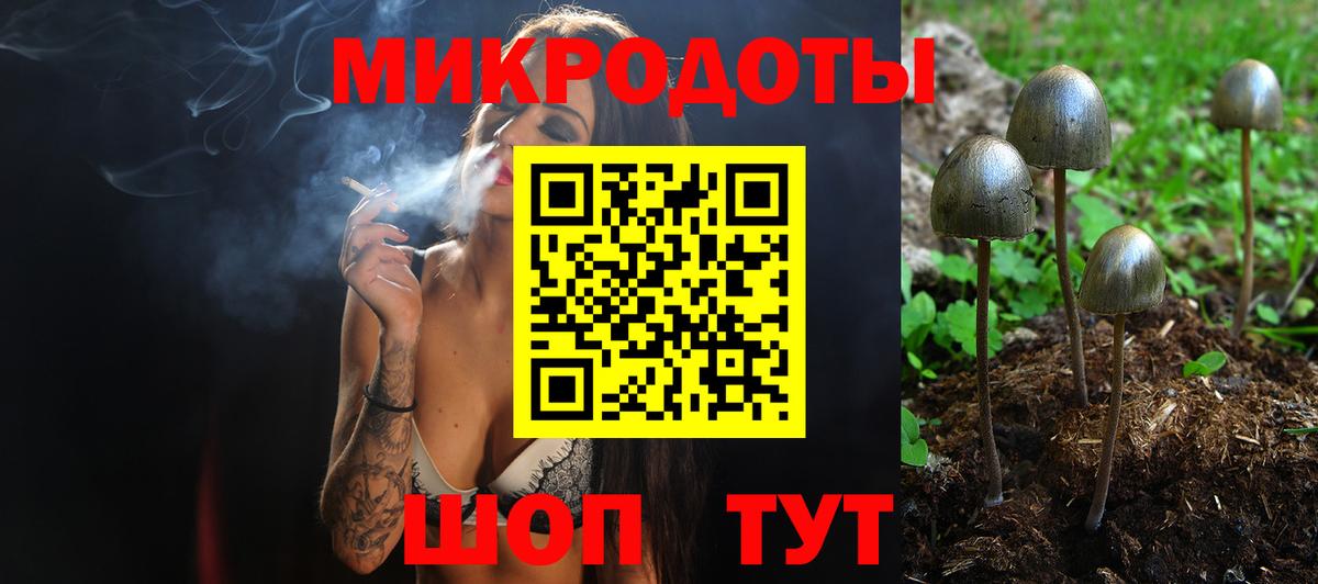 Псилоцибиновые грибы Psilocybine cubensis  Вход с VPN  Полысаево 