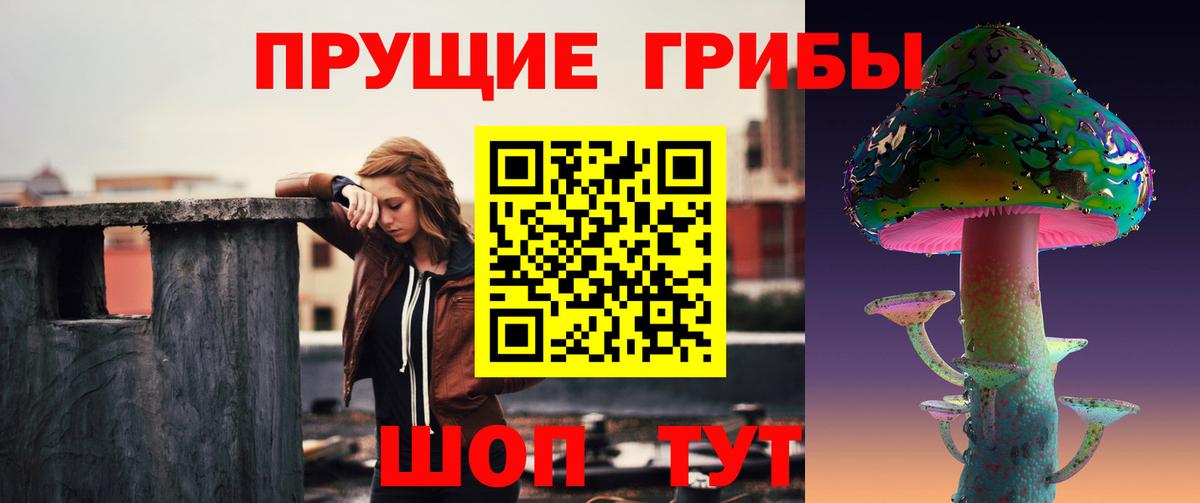 APVP Полысаево